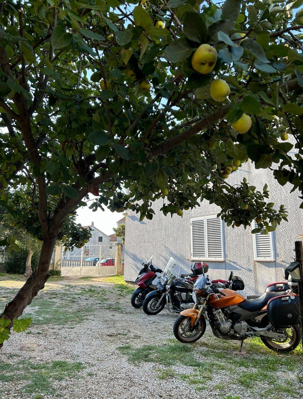 Villa Jadran Zadar Free Parking Sea View Zewnętrze zdjęcie